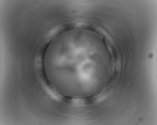 X0000095110520200712071220