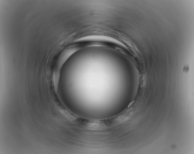 X0000095110521200712071220