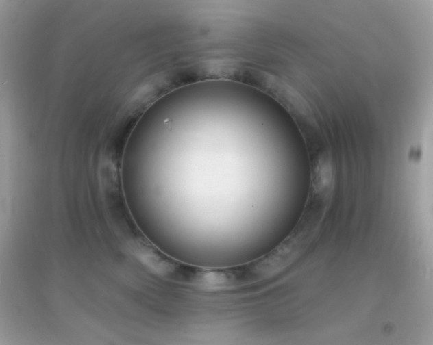 X0000095110522200712071220