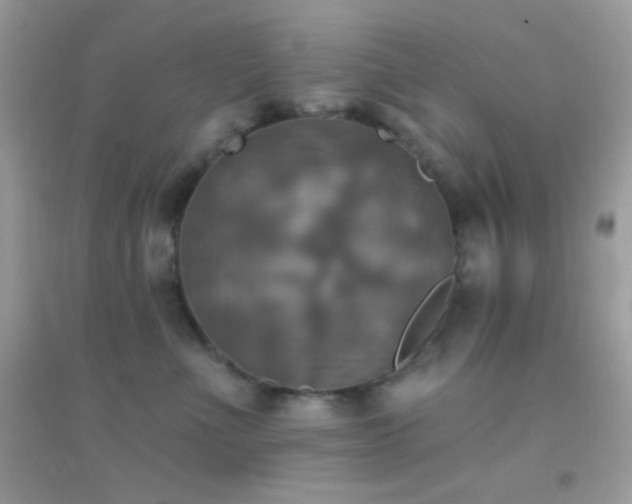 X0000095110523200712071220