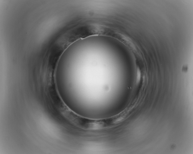 X0000095110525200712071220