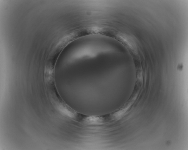 X0000095110526200712071220