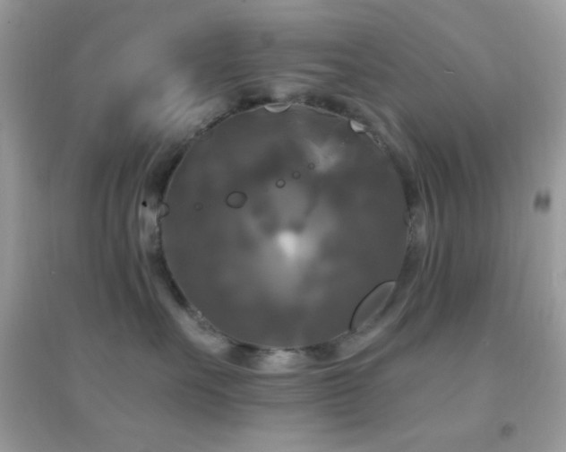 X0000095110527200712071220