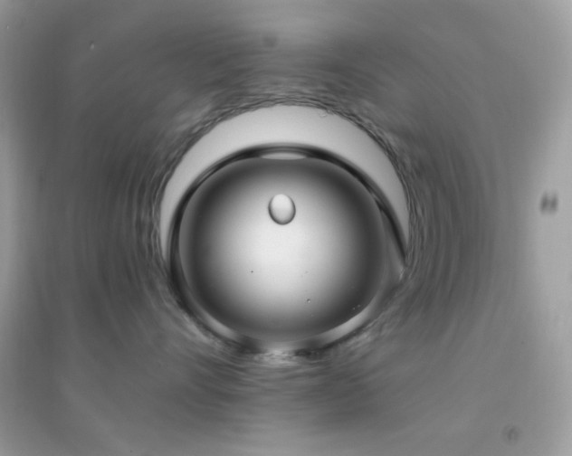 X0000095110528200712071220