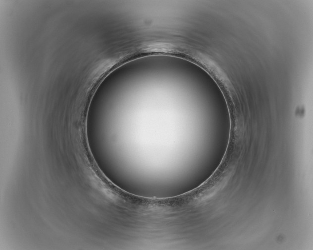 X0000095110529200712071219