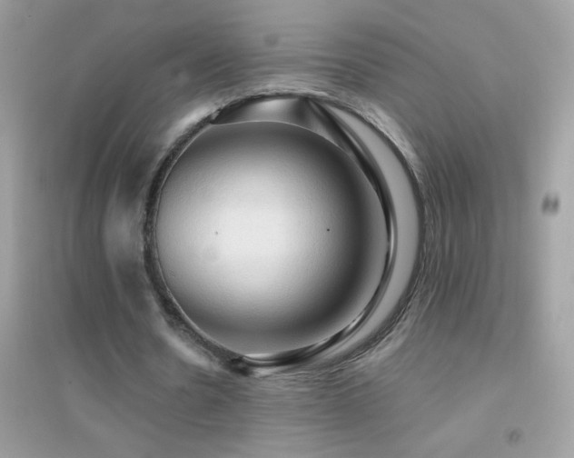 X0000095110530200712071219