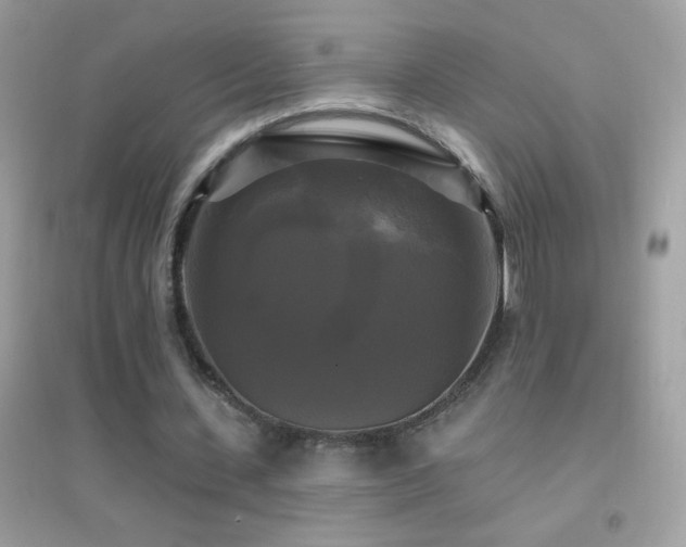 X0000095110531200712071219