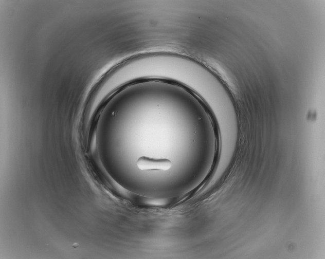 X0000095110532200712071219