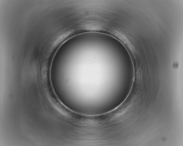 X0000095110533200712071219