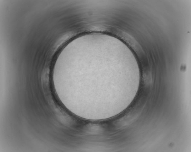 X0000095110534200712071219