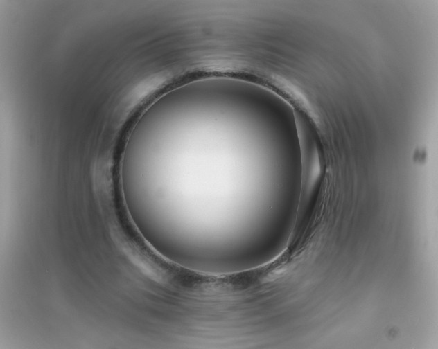 X0000095110535200712071219