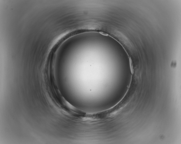 X0000095110536200712071219