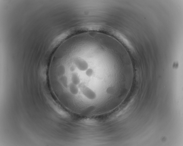 X0000095110537200712071219