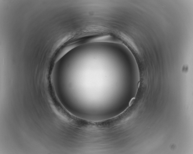 X0000095110538200712071219