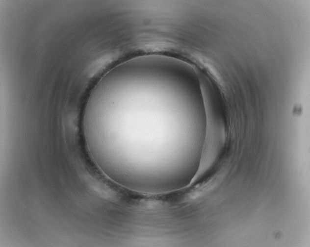 X0000095110539200712071219