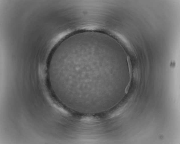 X0000095110540200712071219