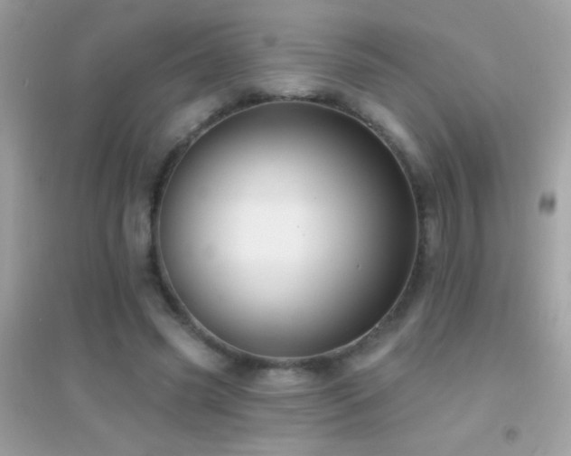 X0000095110541200712071219