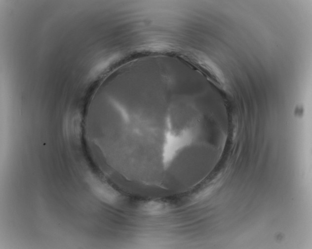 X0000095110542200712071219