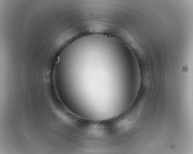 X0000095110543200712071219