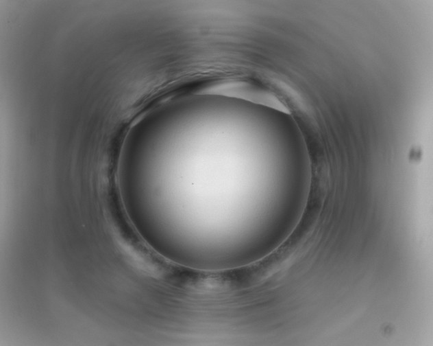 X0000095110546200712071219