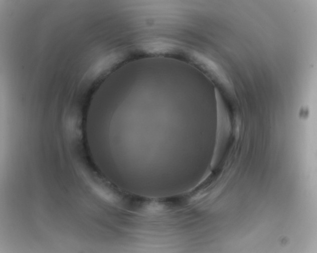 X0000095110547200712071219