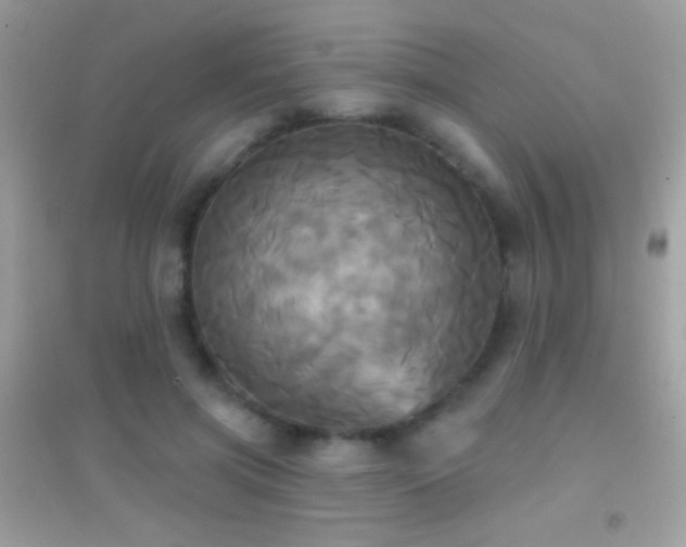 X0000095110549200712071219