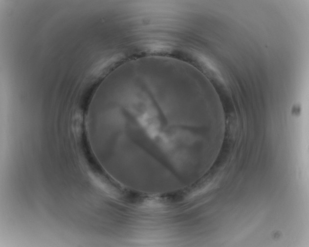 X0000095110550200712071219