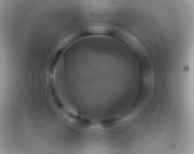 X0000095110551200712071219