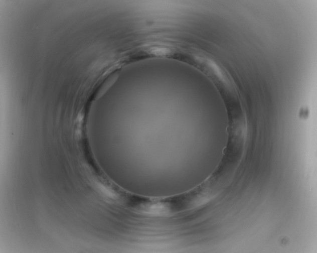 X0000095110553200712071220