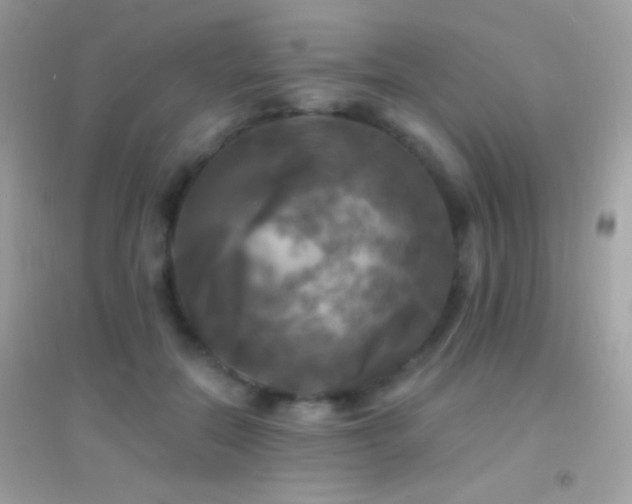 X0000095110554200712071220