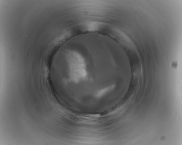 X0000095110555200712071220