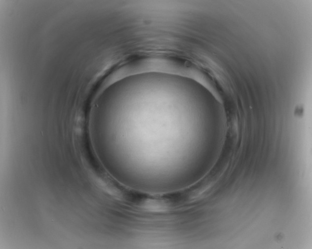 X0000095110556200712071220