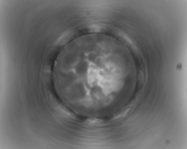 X0000095110557200712071220