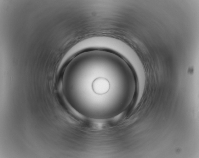 X0000095110558200712071220