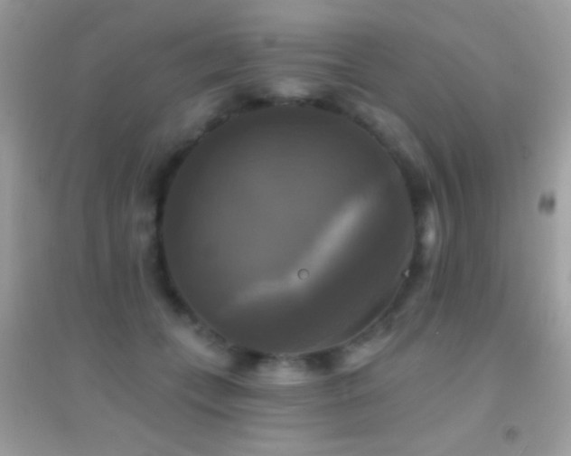 X0000095110559200712071220