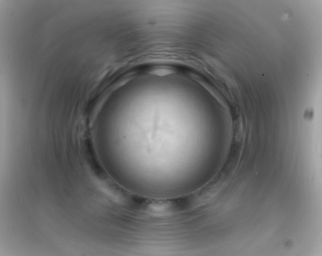 X0000095110560200712071220