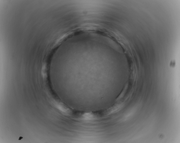 X0000095110562200712071220