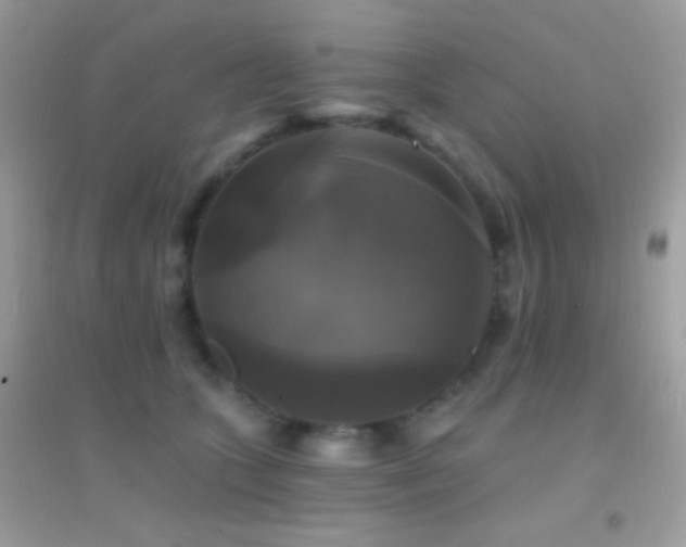 X0000095110563200712071220