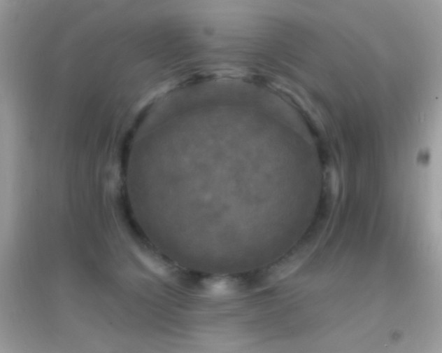 X0000095110564200712071220