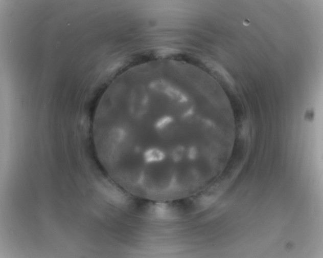 X0000095110565200712071220