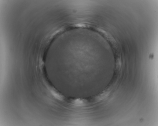 X0000095110566200712071220