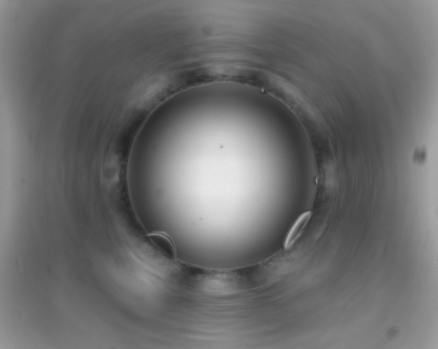 X0000095110567200712071220