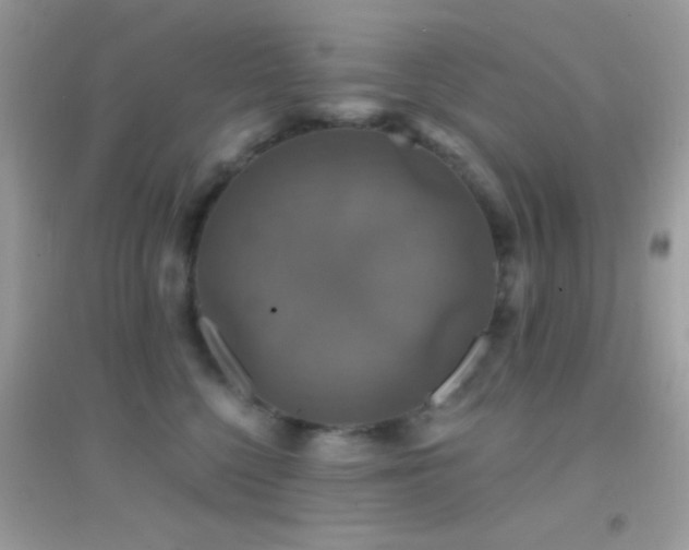 X0000095110568200712071220