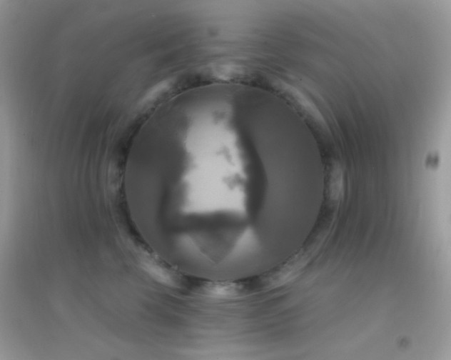 X0000095110569200712071220