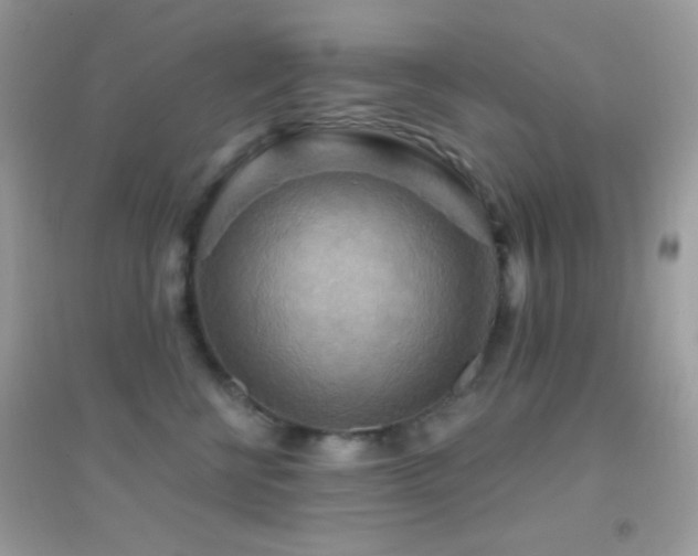 X0000095110570200712071220