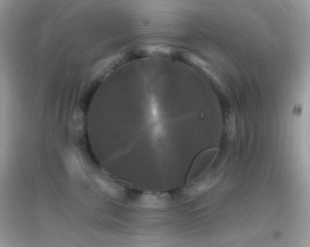 X0000095110571200712071220