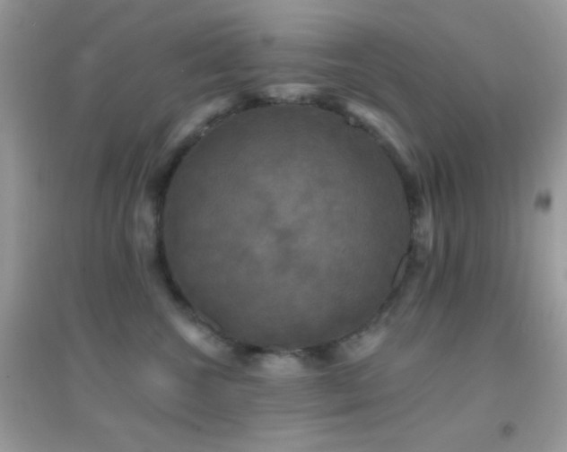 X0000095110572200712071220