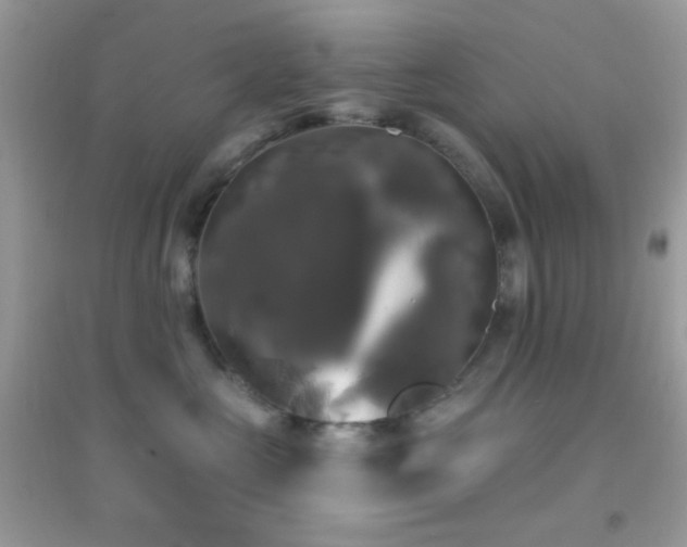 X0000095110573200712071220