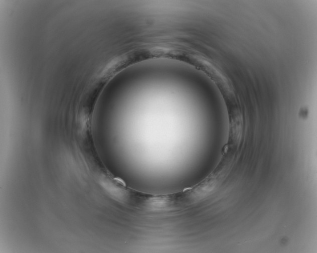 X0000095110574200712071220