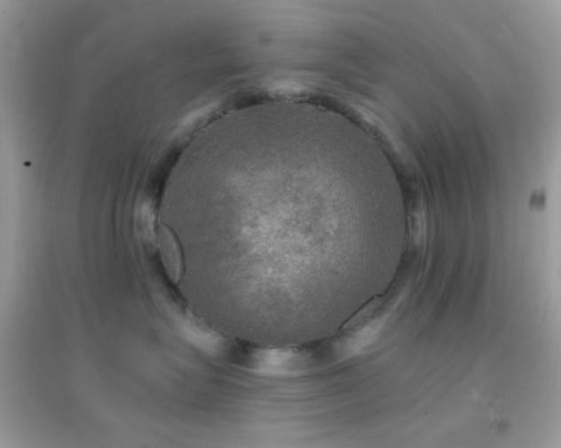 X0000095110575200712071220